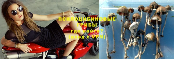 хмурый Алексеевка