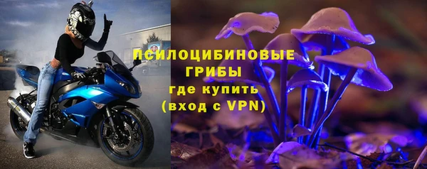 кокс Арсеньев