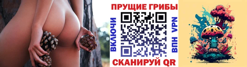 mega как войти  Волгодонск  Галлюциногенные грибы MAGIC MUSHROOMS 