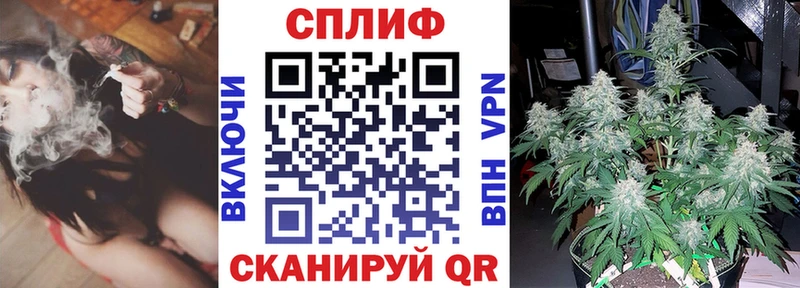 Бошки марихуана White Widow закладка Волгодонск